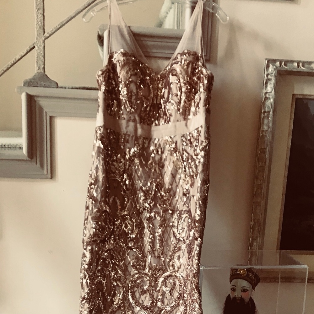 Adrianna Papell Pink Gown